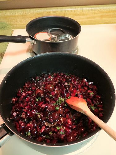 Easy Bing Cherry Salsa Cherry Salsa Recipe Canning, Cherry Salsa Recipe, Bing Cherry Recipes, Bing Cherry Salad, Cherry Salad Recipes, Cherry Salsa, Cherries Salad, Cherry Compote, Bing Cherries