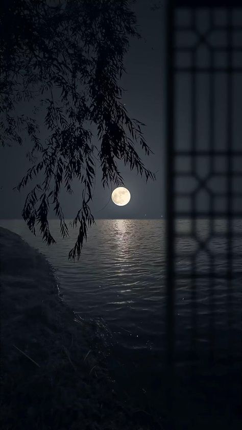 Moonlight Photography, Blue Moon Photography, Sky Photography Nature, Dark Nature Aesthetic, Night Scenery, Wallpaper Animes, Moon Photography, Amazing Nature Photos, Beautiful Images Nature