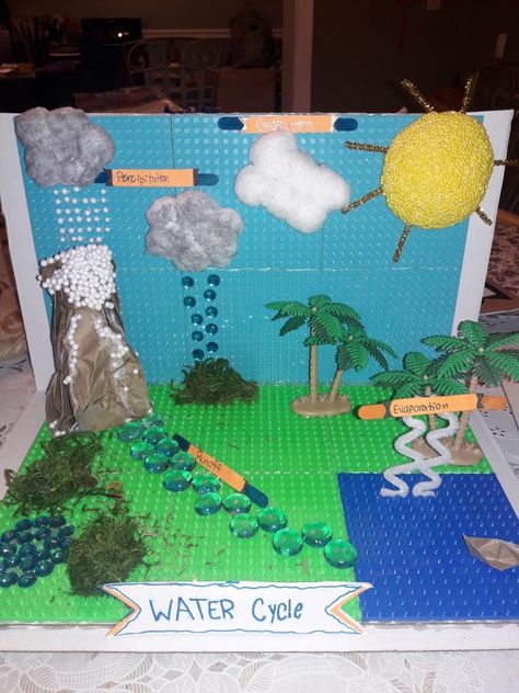 Animals School Project, Water Cycle Craft, Water Cycle Project, Workshops Ideas, School Exhibition, Science Day, Grade 10, Water Cycle, Arts N Crafts