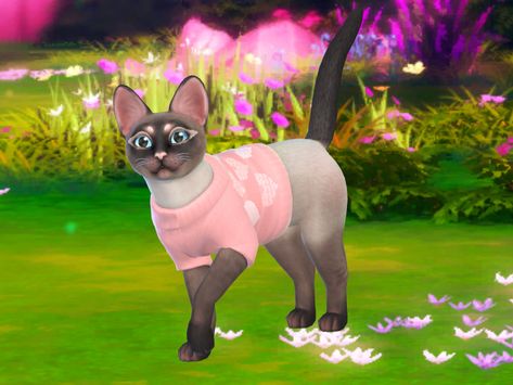 Dress up your fur babies with some pastel heart sweaters, it will match the pastel pop collection perfectly! Found in TSR Category 'Sims 4 Clothing sets' Sims 4 Maxis Match Pet Cc, Sims 4 Cc Cat Clothes, Sims 4 Cc Pets Clothes, Sims 4 Pet Cc Clothes, Sims 4 Pet Cc, Heart Sweaters, Pastel Heart, Cc Furniture, Pastel Sweater