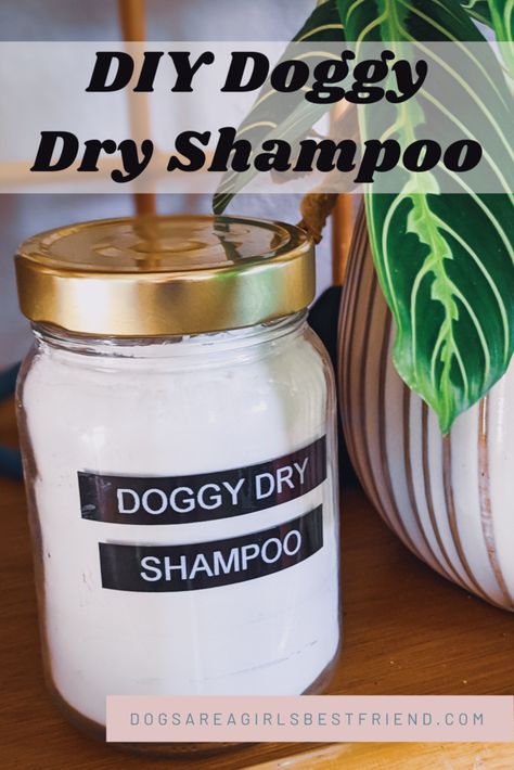 Diy Dog Grooming Products, Dog Dandruff Remedy, Diy Pet Care Products, Diy Dog Dry Shampoo, Diy Dog Cologne, Dog Detangler Spray Diy, Diy Dry Shampoo For Dogs, How To Make Dog Shampoo, No Rinse Dog Shampoo Diy