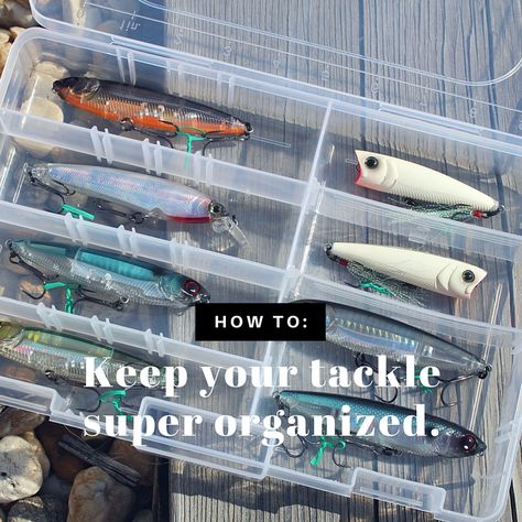 Fishing Lure Organization Ideas, Fishing Lure Storage Ideas, Fishing Tackle Storage Ideas, Fishing Gear Storage Ideas, Fishing Organization Ideas, Tackle Box Organization, Organization Techniques, Fishing Tackle Organization, Fishing Gear Organization