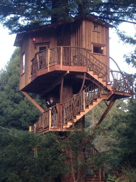 Arcata Redwood Treehouse is listed (or ranked) 7 on the list The Coolest Treehouses in the World Beautiful Tree Houses, Treehouse Masters, Crooked Tree, Building A Treehouse, Cool Tree Houses, Tree House Designs, Diy Holz, Tree Tops, House Built