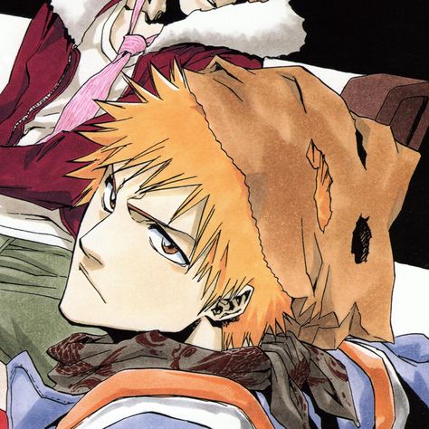 Orihime Bleach, Ichigo And Orihime, Ulquiorra Cifer, Bleach Anime Art, Bleach Characters, Bleach Art, Bleach Manga, Cute Anime Profile Pictures, Manga Covers