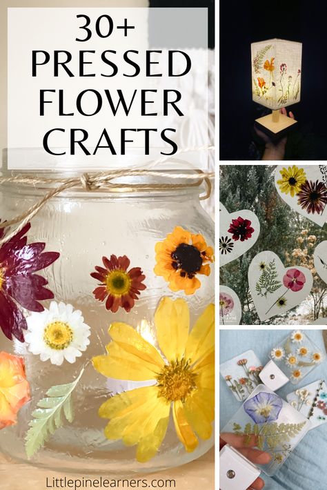 Dried Flowers Crafts, Pressed Flowers Diy, Flower Petal Art, Crafts To Try, Press Flowers, Functional Crafts, Dried Flowers Diy, Flowers To Make, Fruits And Flowers