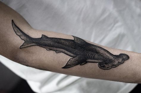 Small Hammerhead Shark Tattoo, Hammer Shark Tattoo, American Traditional Hammerhead, Shark Head Tattoo, Hammerhead Shark Tattoo Linework, Hammer Head Shark Tattoos, American Traditional Hammerhead Shark Tattoo, Hammer Shark, Stomach Tattoos Women