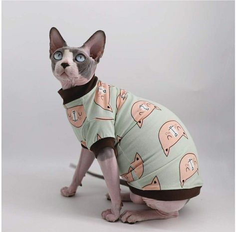 Why a Hairless Cat need to wear a coat? 1.Without the protect of Cat hair, Sphynx hairless cat is very sensitive to temperature and easy to get hurt. 2.Their Cool Appearance is very suitable for dress up and taking photos. So High Quality Cotton Clothes are quite needed to protect and beautify them. Cats Without Hair, Sphynx Cat Clothes, Cute Cat Memes, Hairless Cat, Cotton Clothes, Sphynx Cat, Cat Hair, Taking Photos, Sphynx