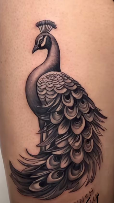 Black And Grey Peacock Tattoo, Feather Band Tattoo, Peacock Tattoo Designs For Women, Peacock Tattoo Men, Bapu Tattoo, Punjab Tattoo, Mor Pankh Tattoo, Peacock Tattoo Design, Peacock Tattoo Designs