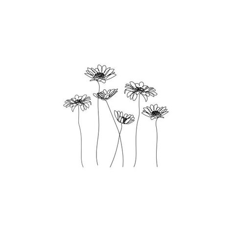 Daisy Line Art, Line Drawing Daisy, Daisy Flower Sketch Simple, Daisies Line Art, Sunflower Illustration Simple, Daisy Illustration, Daisy Clipart, Daisy Illustration Simple, Daisy Graphic