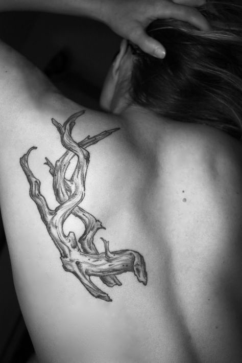 Driftwood Tattoo, Whale Tattoos, I Am Back, Future Tattoos, Tattoos And Piercings, Poets, Skull Tattoo, Good News, Tatting