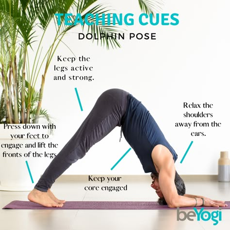 Yoga Dolphin Pose, Dolphin Pose Yoga Sequence, Dolphin Pose Yoga, Yoga Cues, Restorative Yoga Sequence, Hata Yoga, Dolphin Pose, Yoga Teacher Resources, Yoga Teaching