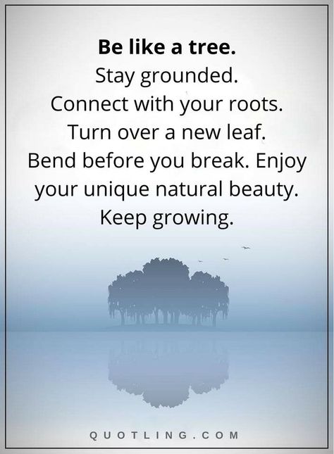 Roots Quotes, Tree Quotes, Music Background, Unique Quotes, Stay Grounded, Quotes Words, Beautiful Music, Yoga Quotes, To Infinity And Beyond