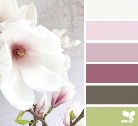 Flora Tones Cherry Blossom Color, Seeds Color, Color Concept, Color Palate, Design Seeds, Color Harmony, Color Combo, Colour Schemes, Color Of Life