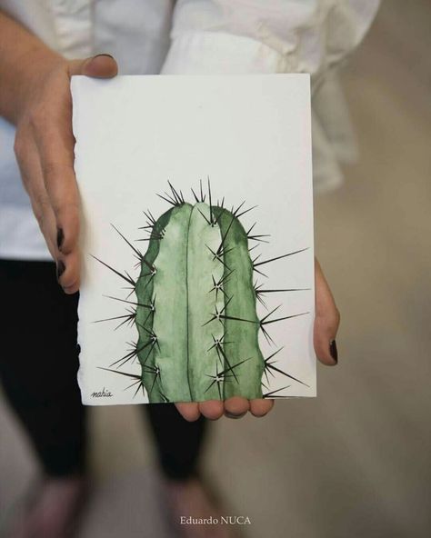 Funny Vine, Cactus Watercolor, Cactus Art Print, Cactus Drawing, Cactus Painting, Garden Watercolor, Watercolor Cactus, Cactus Art, Tableau Art