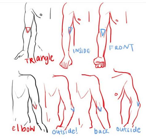 Elbow placing tips . Credit t Anatomy Tutorial, Anatomy Sketches, Drawing Faces, Hand Reference, Anatomy Drawing, Guided Drawing, Body Drawing, Anatomy Reference, The Human Body