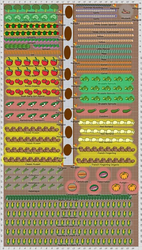 Garden Plan - Melissa's New Garden Vegetable Garden Planner, Garden Layout Vegetable, Vegetable Garden Planning, Garden Plan, Garden Design Layout, Hobby Farm, Garden Planner, Veg Garden, Square Foot Gardening