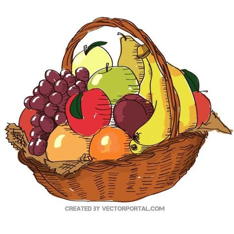 Fruit Basket Illustration, Fruits Tattoo, Cafe Snacks, Fruit Basket Drawing, Fruit Bucket, Fruit Tattoo, Basket Drawing, Fruits Drawing, Summer Fresh