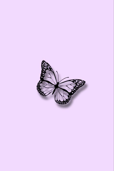 Purple, butterfly, aesthetic,cute Purple Butterfly Aesthetic, Butterfly Aesthetic, Aesthetic Cute, Purple Butterfly, Purple, Pink, Black