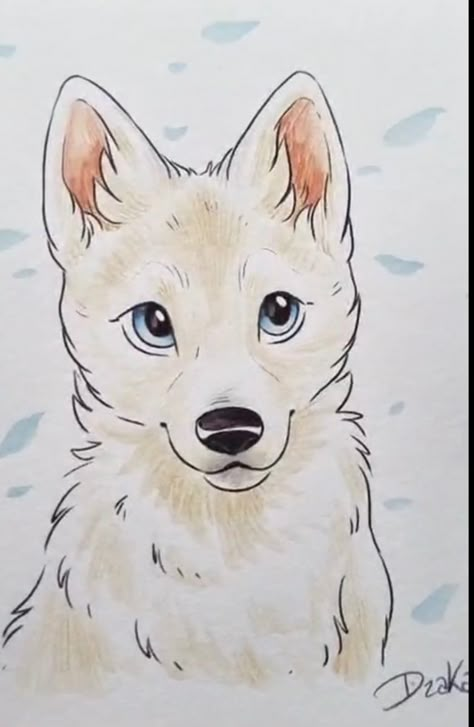 Anime Dogs Drawing, Border Collie Sketch Drawings, Cute Dog Drawings Easy, Kreslenie Easy, Anime Dog Drawing, Cute Dog Drawing Easy, How To Draw A Dog, Dog Sketch Easy, Puppies Drawing