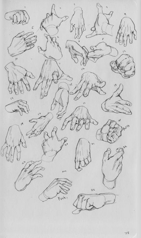 Hand Studies, Tre Kunst, Human Anatomy Drawing, Hand Drawing Reference, Human Anatomy Art, Anatomy Sketches, Hand Reference, Body Reference Drawing, Anatomy Drawing