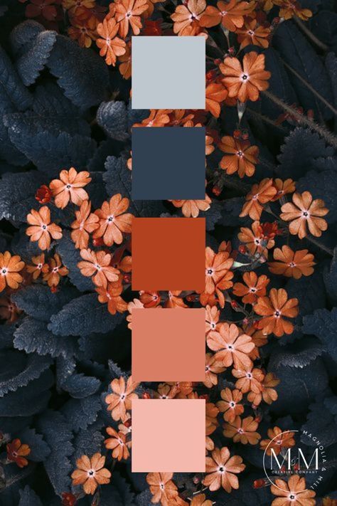 Fall Color Schemes, Timeless Color Palette, Thanksgiving Color, Color Design Inspiration, Orange Color Palettes, Color Palette Challenge, Color Schemes Colour Palettes, Fall Color Palette, Rustic Colors