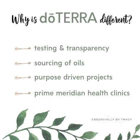 Doterra Llv, Why Doterra, Clear Brain Fog, Essential Oils Focus, Detox Your Home, Doterra Oil, Doterra Business, Essential Oil Companies, Doterra Essential Oils Recipes