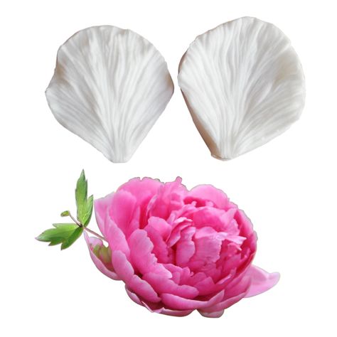 Large Peony Petal Veiner Silicone Mold Chocolate Fondant Gumpaste Sugar Clay Flower Mould Cake Decorating Tools M2185| | - AliExpress Flowers Cake Decorating, Flowers Fondant, Fondant Flower Cake, Cake Tools, Silicone Molds Baking, Tool Cake, Flower Molding, Resin Clay, Chocolate Fondant