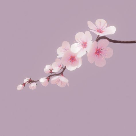 cherry blossom branch on Behance Sakura Aesthetic, Boho Canvas Art, Sakura Season, Cherry Blossom Wallpaper, Art With Meaning, Modern Art Canvas Painting, Art Zine, Easy Acrylic Painting, Blossom Branch