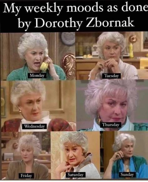 Golden Girls Humor, Golden Girls Quotes, Dorothy Zbornak, The Golden Girls, Girl Memes, Betty White, Work Humor, Golden Girls, I Love Girls