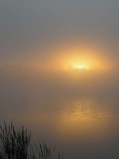 Sun Beaming Through Fog, Fog Sunrise, Sunrise River, Eagle River Wisconsin, Fishing Painting, Sunrise Drawing, Reflection Drawing, Foggy Sunrise, Photos Landscape