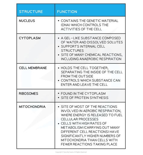 Animal & Plant Cells | AQA GCSE Biology Revision Notes 2018 Gcse Aqa Biology Revision Notes, Animal Biology Notes, Gcse Biology Revision Notes, Biology Revision Notes, Animal Cell Structure, Cell Biology Notes, Cell Structure And Function, Plant Cell Structure, Gcse Biology