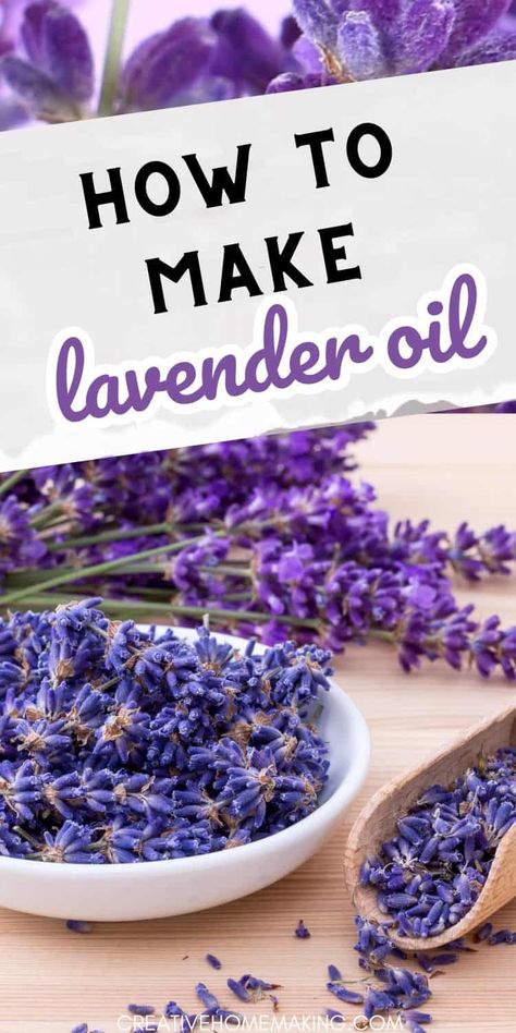 Create your own lavender oil with this step-by-step guide and infuse your world with the calming essence of lavender. Diy Lavender Essential Oil, Lavender Oil Diy, Lavender Oil Recipes, Herb Preservation, Homemade Lavender Oil, Lavender Plant Uses, Make Lavender Oil, Benefits Of Lavender, Lavender Crafts