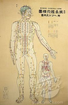 Acupuncture points and meridians of human body Body Front View, Chinese Emperor, Acupuncture Points, Front View, Acupuncture, Medicine, Human Body, Stock Photos, Human