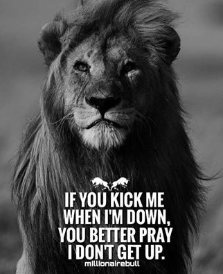 If you kick me when I'm down, you better pray I don't get up. A Lion, Quotes About Strength, Me When, The Words, A Black, Lion, Black And White, Quotes, White