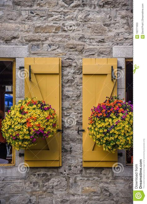 Yellow Shutters Exterior, Casper House, Shutters Cottage, Wooden Shutters Exterior, Yellow Shutters, Cottage Shutters, Yellow Window, Wall Building, Window Shutters Exterior