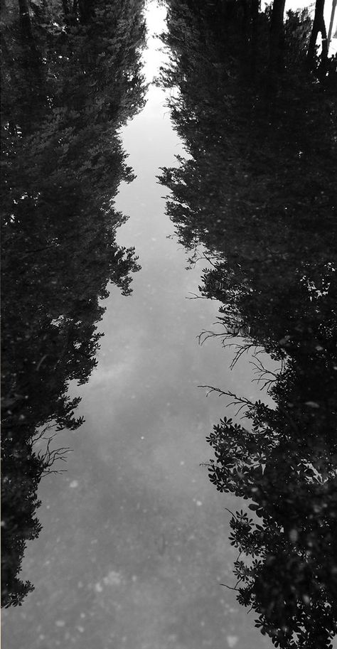 Puddles After Rain by Yuri Polchenko, via Behance After Rain Aesthetic, After Rain Photography, Rain Core, Sweet Shots, Dark Academia Aesthetic Wallpaper, Foggy Weather, Dark Landscape, After Rain, Rain Storm