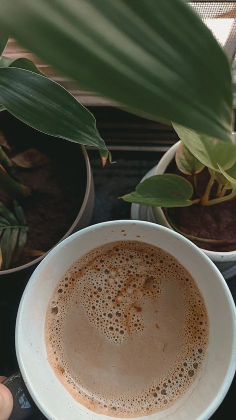 Mirror Selfie Boy No Face Aesthetic, Coffee Vs Tea, Tarot Aesthetic, Blue Butterfly Wallpaper, 18th Birthday Cake, Deli Food, Nature Instagram, Coffee Shop Design, Beautiful Images Nature