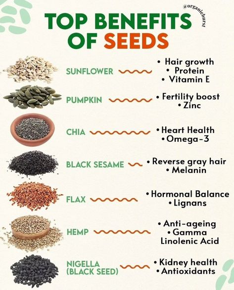 Seeds Benefits, Food Health Benefits, Healthy Seeds, Home Health Remedies, Herbs For Health, For Hair Growth, Health Knowledge, Healing Food, Good Health Tips