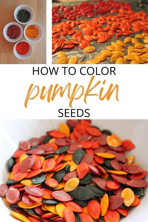 Pumpkin Seeds Crafts Preschool, Pumpkin Seed Tree Craft, How To Dye Pumpkin Seeds, Pumpkin Seed Math, Pumpkin Seed Art Preschool, Things To Do With Pumpkin Seeds, Pumpkin Reggio Activities, How To Dry Pumpkin Seeds, Pumpkin Seed Crafts Preschool