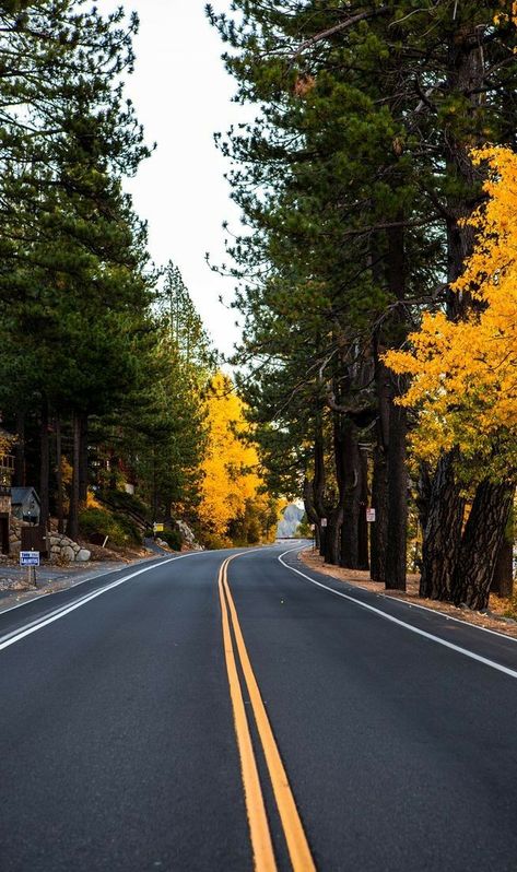 Railroad Track Pictures, Truckee California, Donner Lake, Track Pictures, Jeff Smith, Color Splash Photography, Photography Autumn, Hd Pic, Road Photography