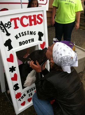 Animal Shelter Fundraiser, Dog Fundraiser, Charity Work Ideas, Charity Project, Kissing Booth, Charity Work, Chihuahua Dogs, Fundraising Events, Terrier Mix