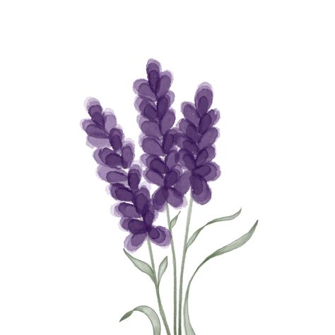 Lavender Aesthetic Drawing, Lavender Icons Aesthetic, Widgets Lavender, Cute Purple Widgets, Lavender Aesthetic Flower, Lavender Flowers Aesthetic, Lavender Flower Drawing, Purple Flowers Drawing, Lavender Cartoon