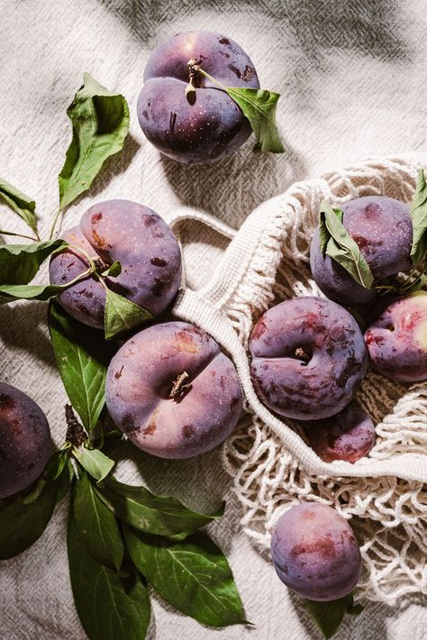 fresh-picked plums | photography by bella karragiannidis - ful-filled.com Greek Squash, Squash Blossoms, Mediterranean Summer, Fig Leaf, Painting References, Beautiful Food Photography, Dappled Light, Vanilla Greek Yogurt, Fruit Photography