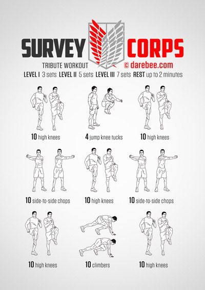 Visual Workouts Assassin Workout, Nerdy Workout, Darebee Workout, Anime Workouts, Anime Workout, Superhero Workout, Survey Corps, Martial Arts Workout, Free Workouts