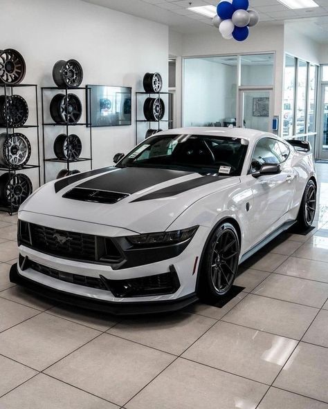 American Muscle Cars Ford, Mustang 2024, Fort Mustang, 2024 Ford Mustang, Mustang Sally, Mustang Gt500, New Luxury Cars, Ford Mustang Car, Pimped Out Cars