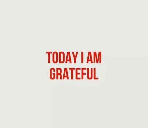 Be grateful everyday Grateful Everyday, Be Grateful Aesthetic, Today I Am Grateful For, Be Obsessively Grateful, I’m Grateful For, Today I’m Grateful For, Signage Light, Light Box Quotes, Moments Quotes