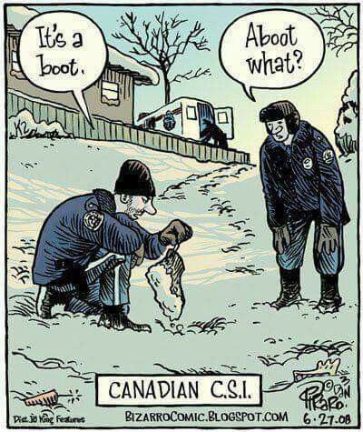 Comic: Canadian C.S.I.: It's a boot. Aboot what? Canadian Humor, Bizarro Comic, Interview Tips, Oui Oui, Pics Art, Job Interview, Funny Cartoons, Tumblr Funny, Comic Strip