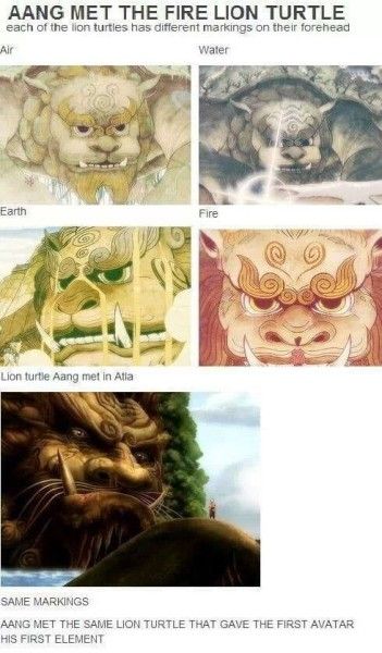 Fan Art Avatar, Lion Turtle, Fire Lion, Avatar The Last Airbender Funny, Avatar Funny, Avatar Series, Korra Avatar, The Last Avatar, Avatar The Last Airbender Art