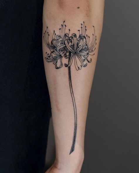 Lily Tattoo Ideas, Spider Lily Tattoo, Lillies Tattoo, Lily Nails, Lily Flower Tattoos, Chrysanthemum Tattoo, Bamboo Tattoo, Lavender Tattoo, Red Spider Lily