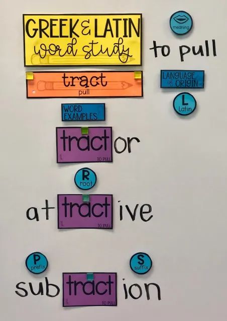 Morphology Word Wall, Greek And Latin Roots Anchor Chart, Root Words Activities, Latin Root Words, 5th Grade Ela, Vocabulary Instruction, 6th Grade Reading, 4th Grade Writing, Prefixes And Suffixes